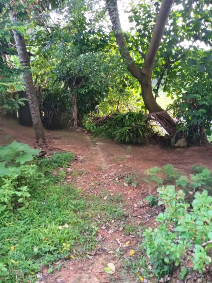 Residential Land for Sale in Gothatuwa