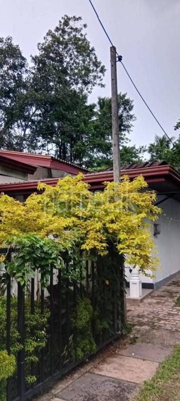 House for Sale in Delgoda