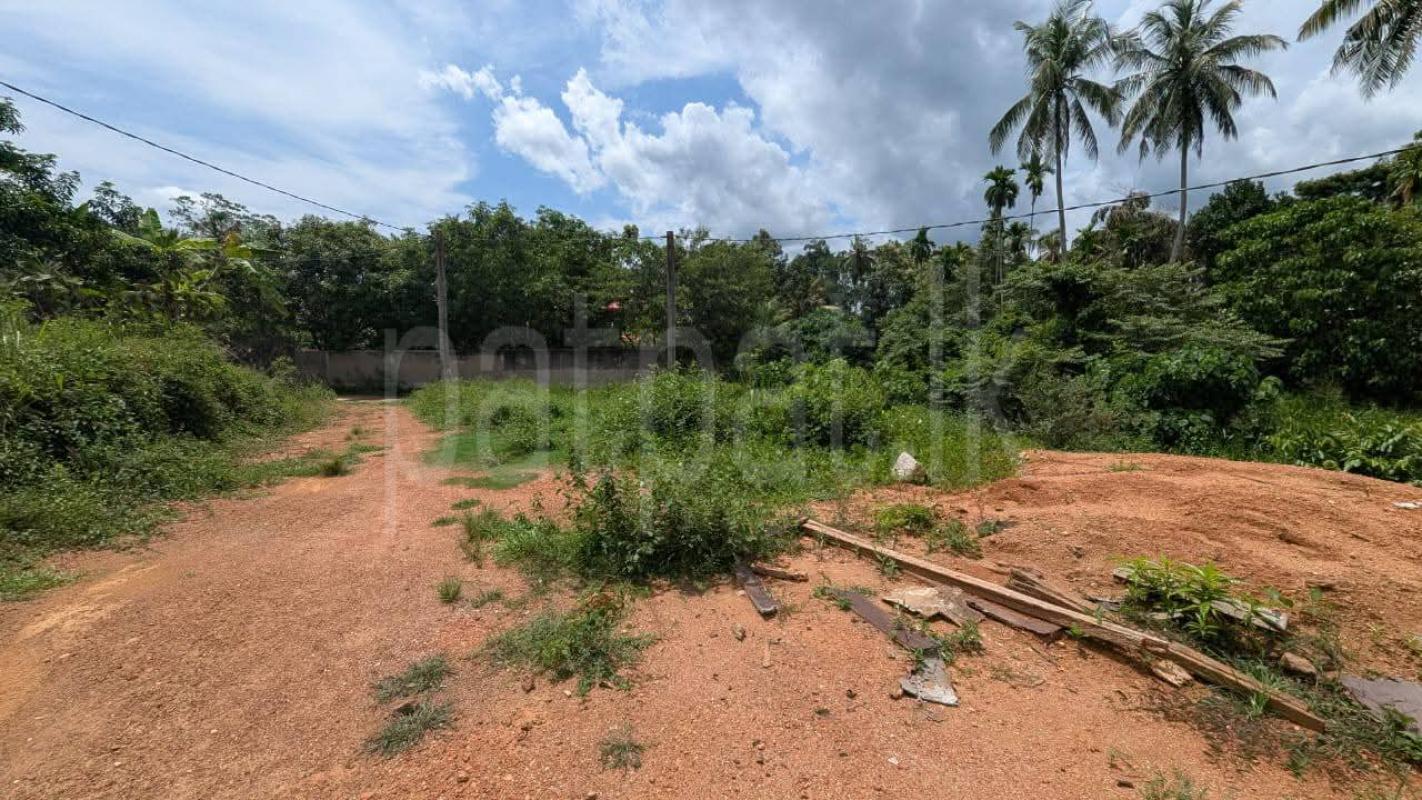 Residential Land for Sale in Hanwella