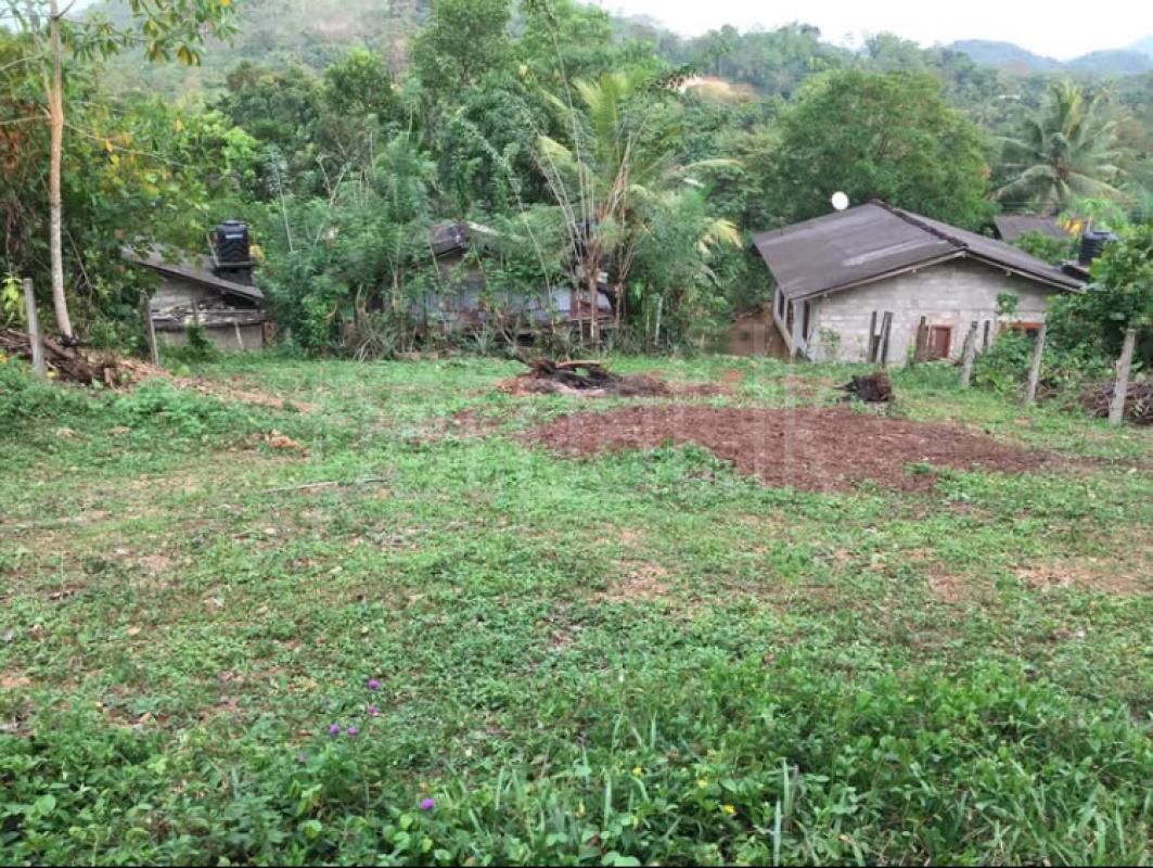 Residential Land for Sale in Welipenna ads-image-1