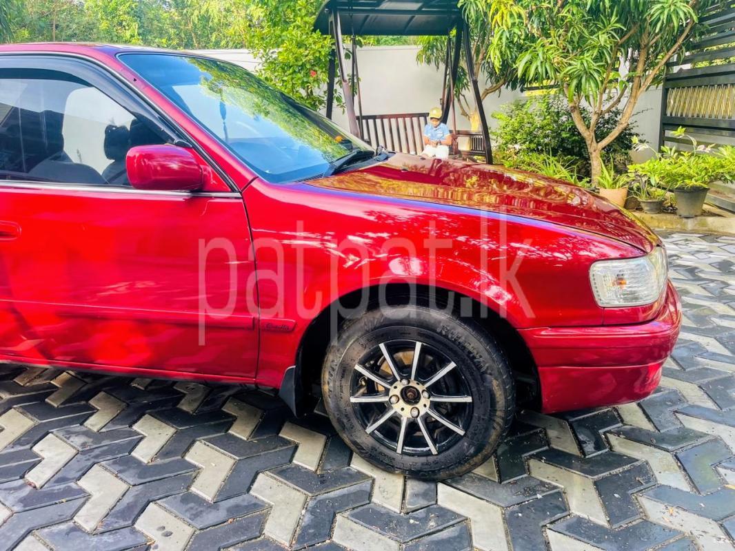 Advertisement image 6