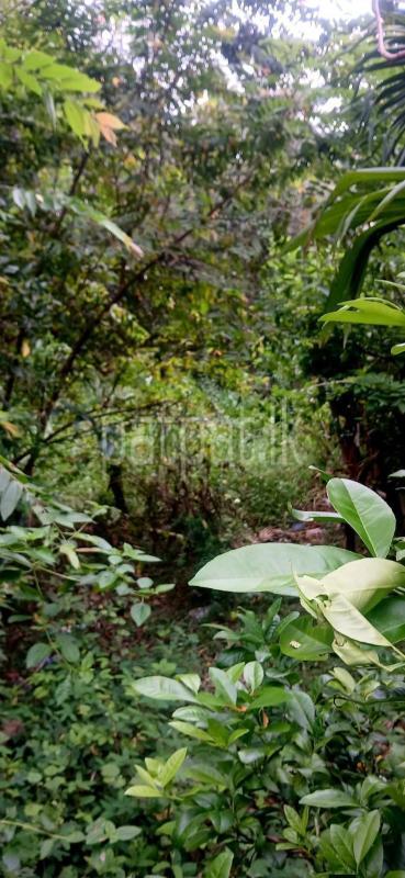 Residential Land for Sale in Kataragama