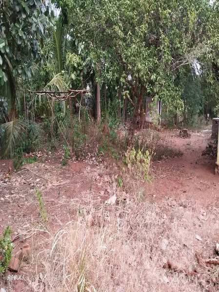 House for Sale in Vavuniya ads-image-1