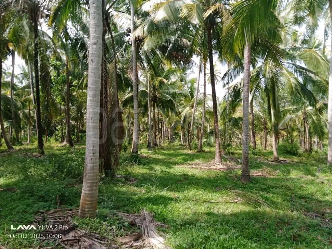 Agricultural Land for Sale in Maho