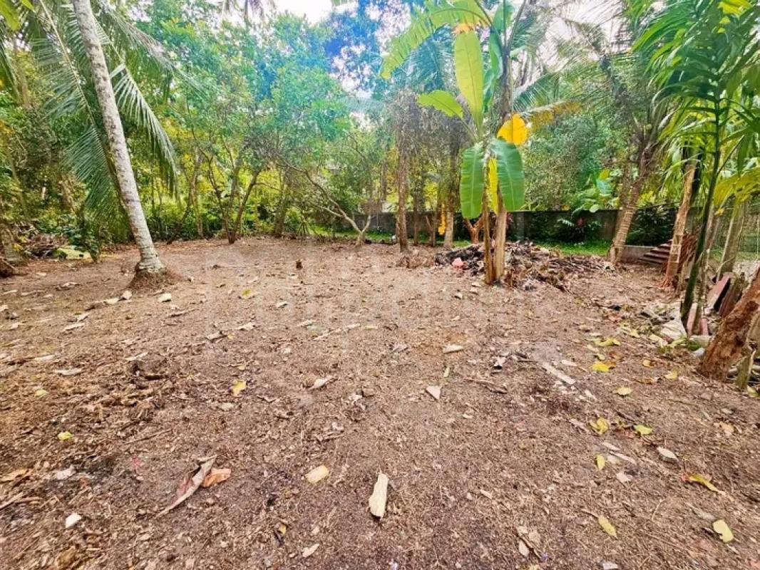 Commercial Land for Sale in Makewita