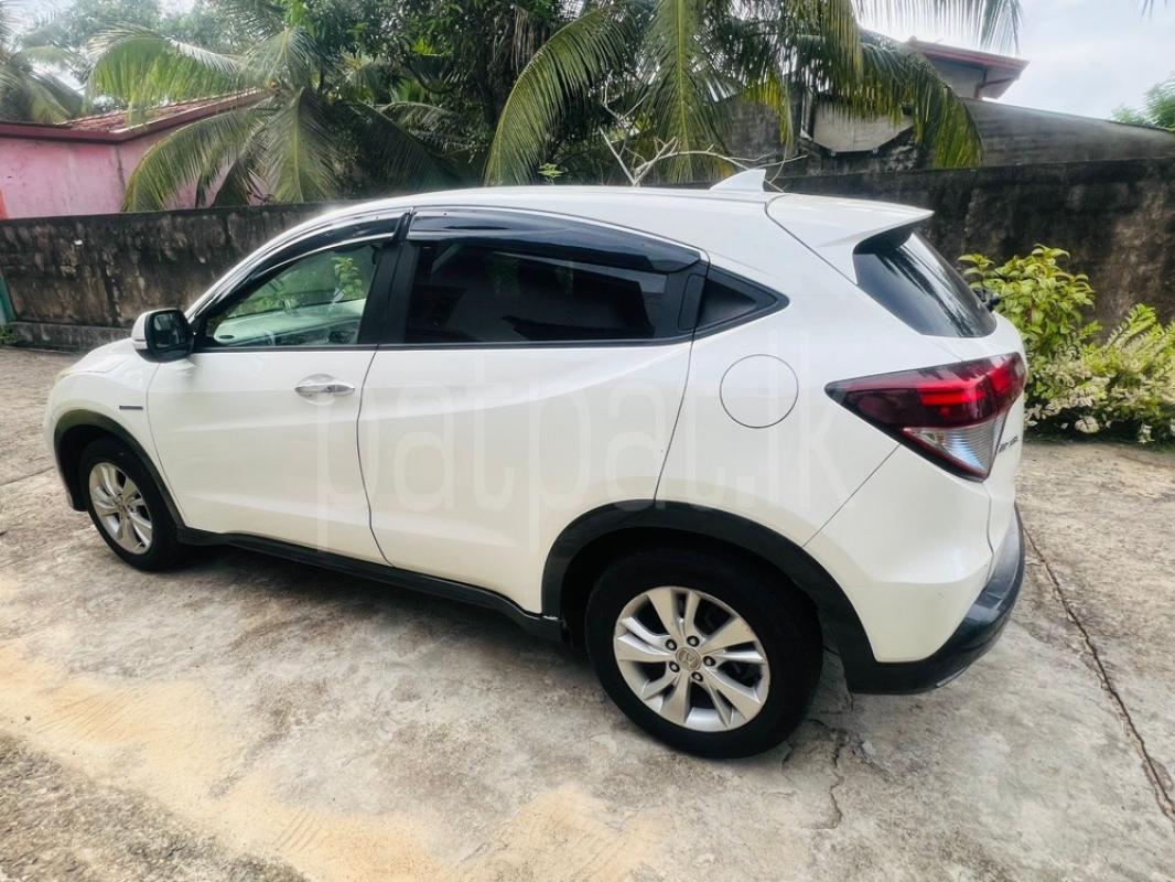 Advertisement image 3