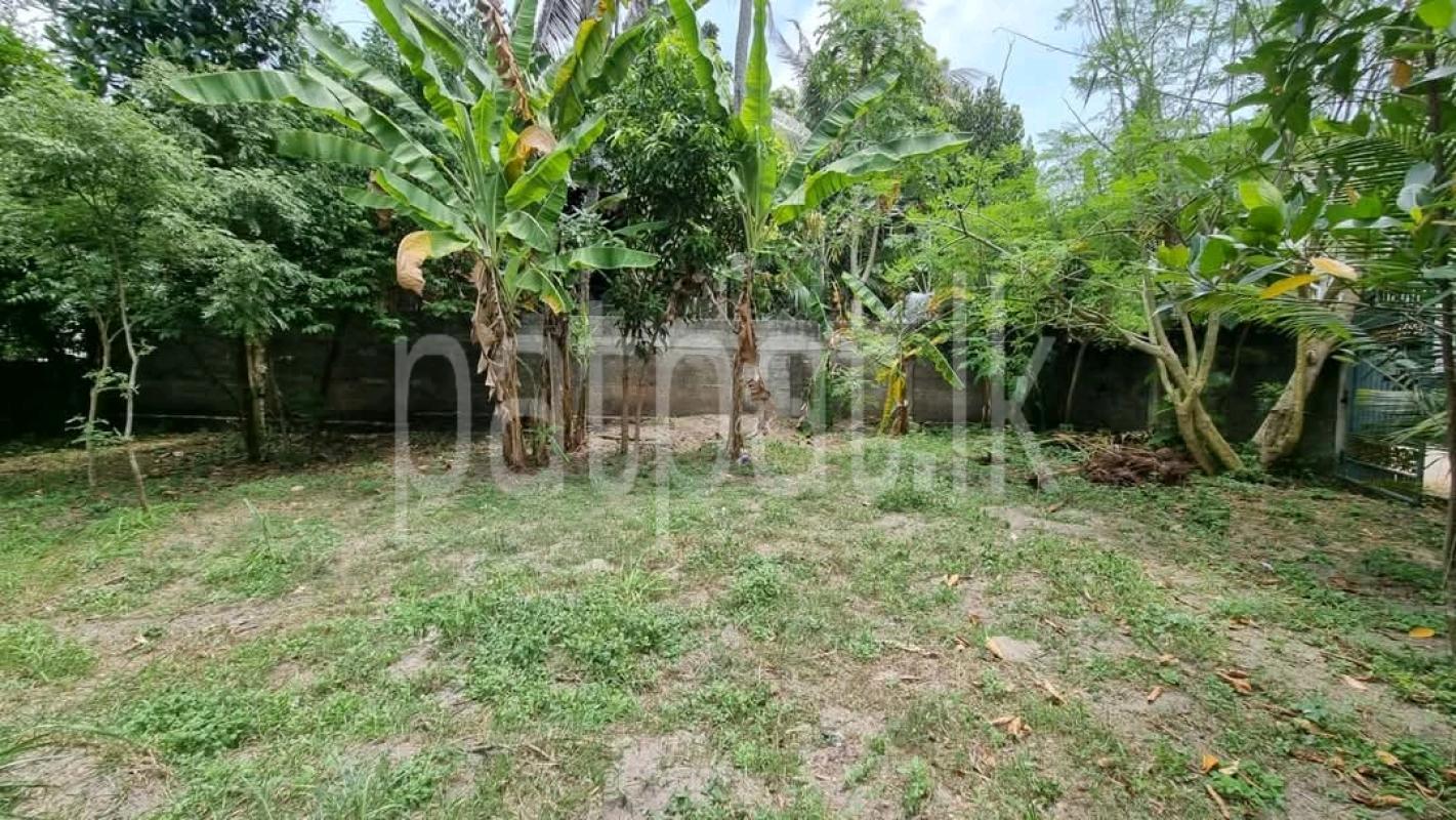 Commercial Land for Sale in Ja-Ela