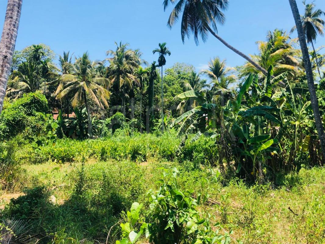  Land for Sale in Ekala