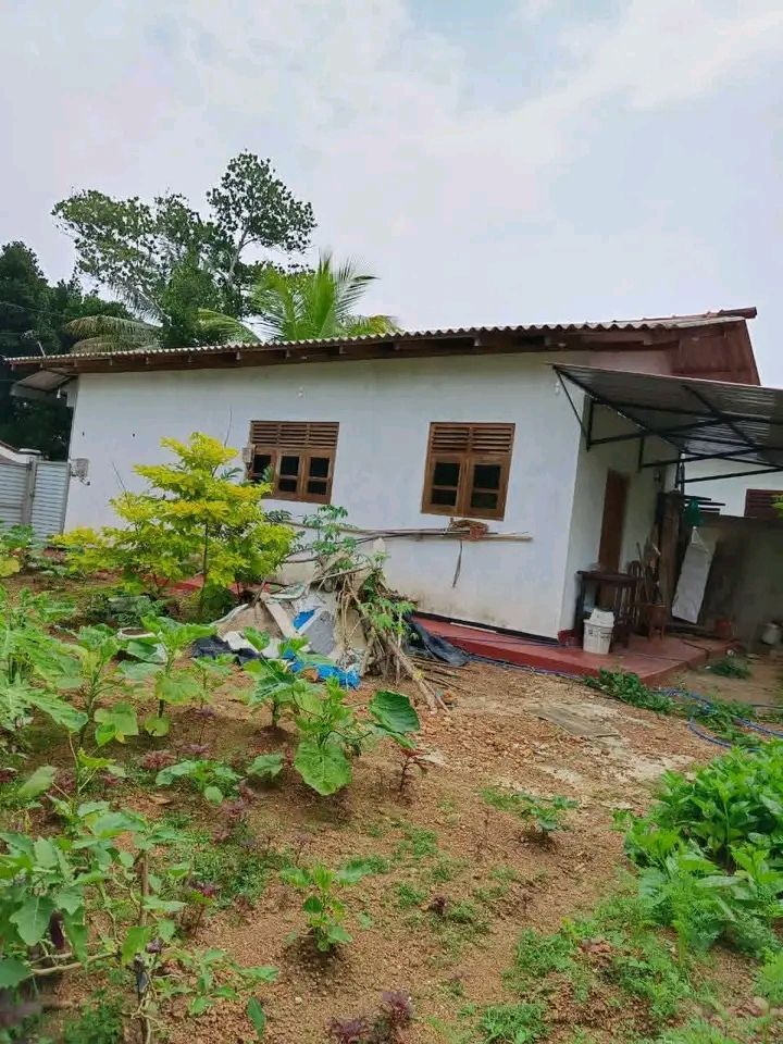 House for Sale in Colombo Fort (Colombo 01)