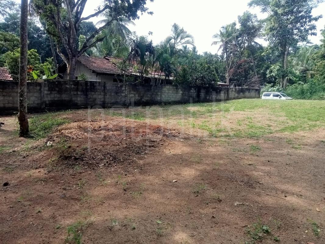 Residential Land for Sale in Kurunegala