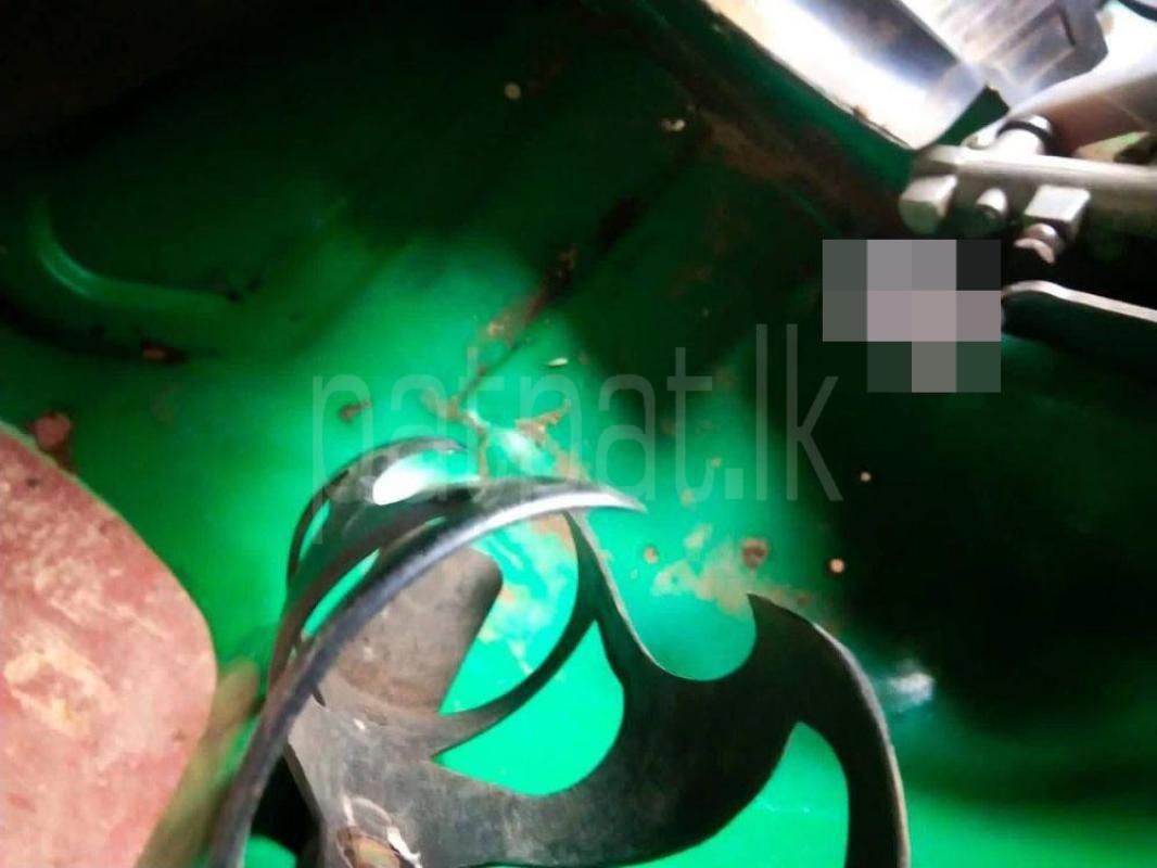 Advertisement image 6