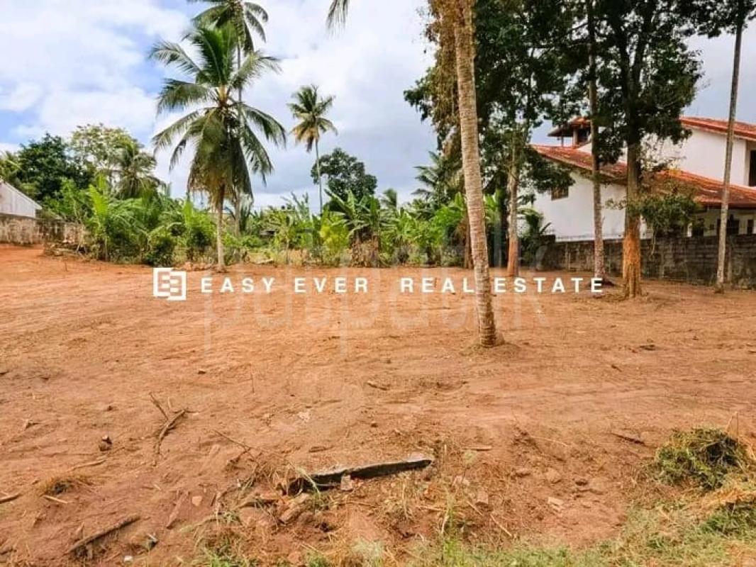Commercial Land for Sale in Gampaha ads-image-1
