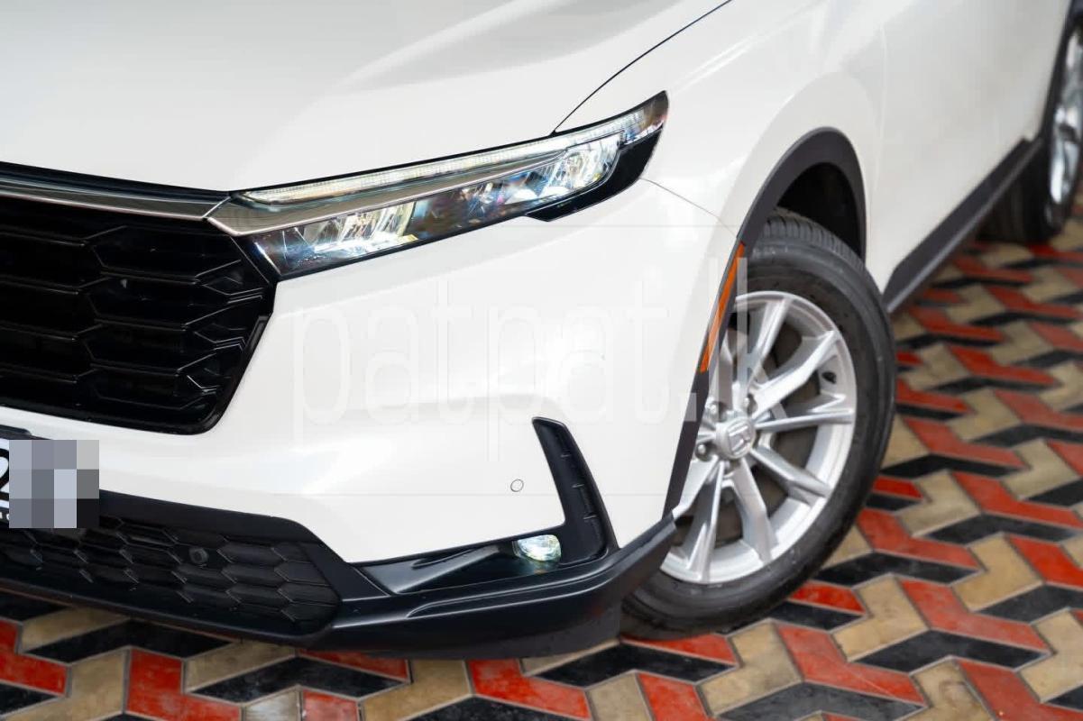 Advertisement image 4