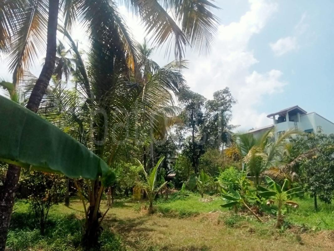 Residential Land for Sale in Kurunegala