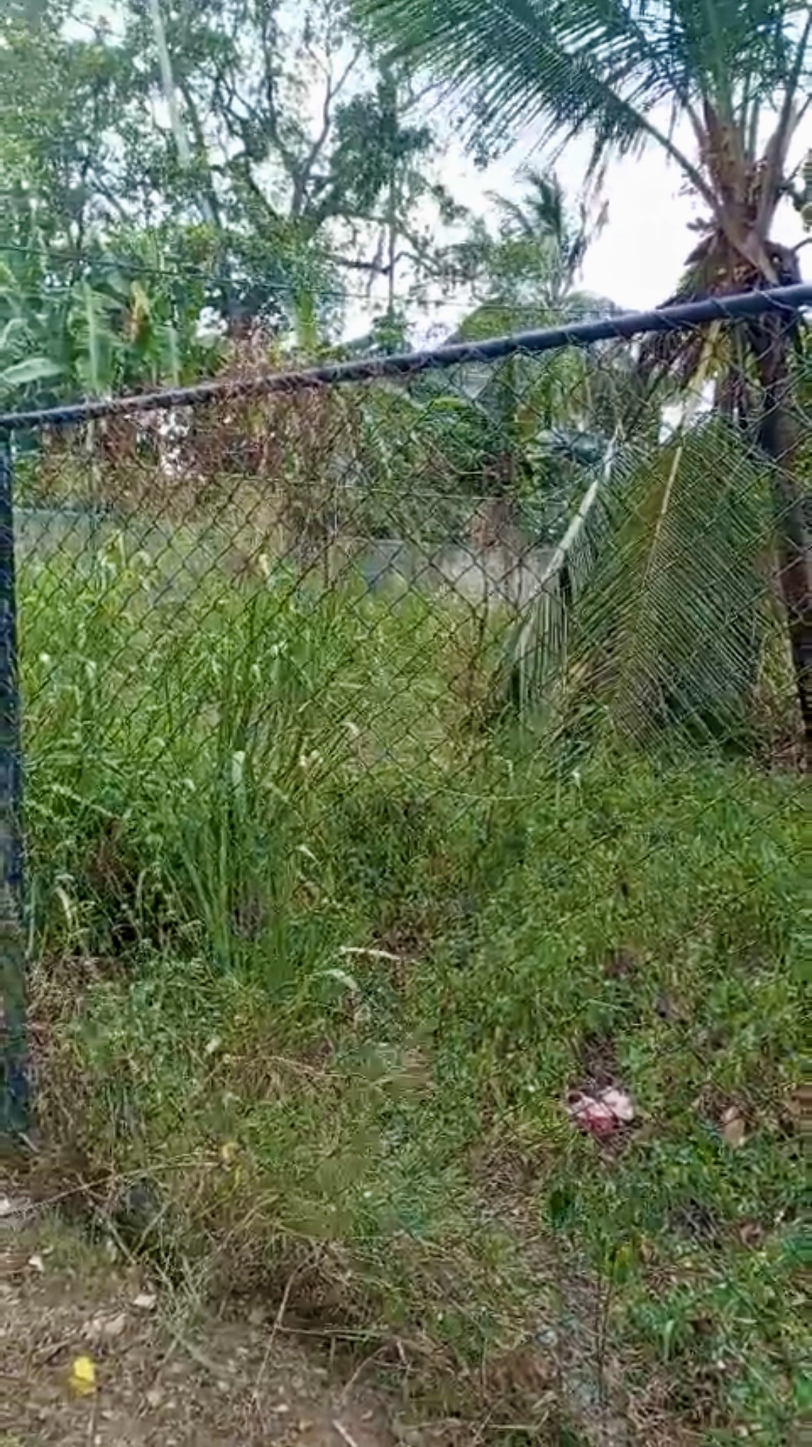 Residential Land for Sale in Pannipitiya