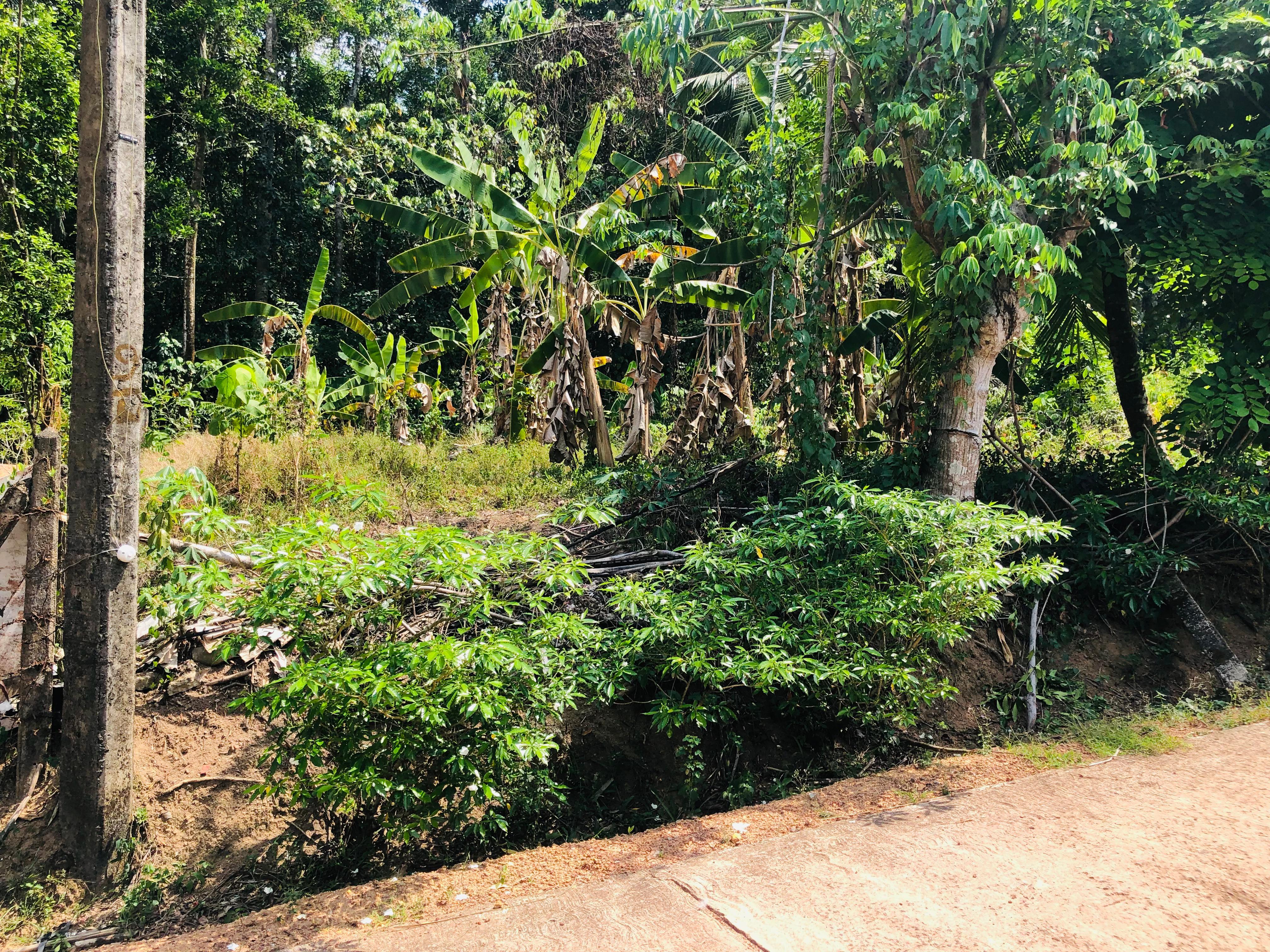 Residential Land for Sale in Kirindiwela