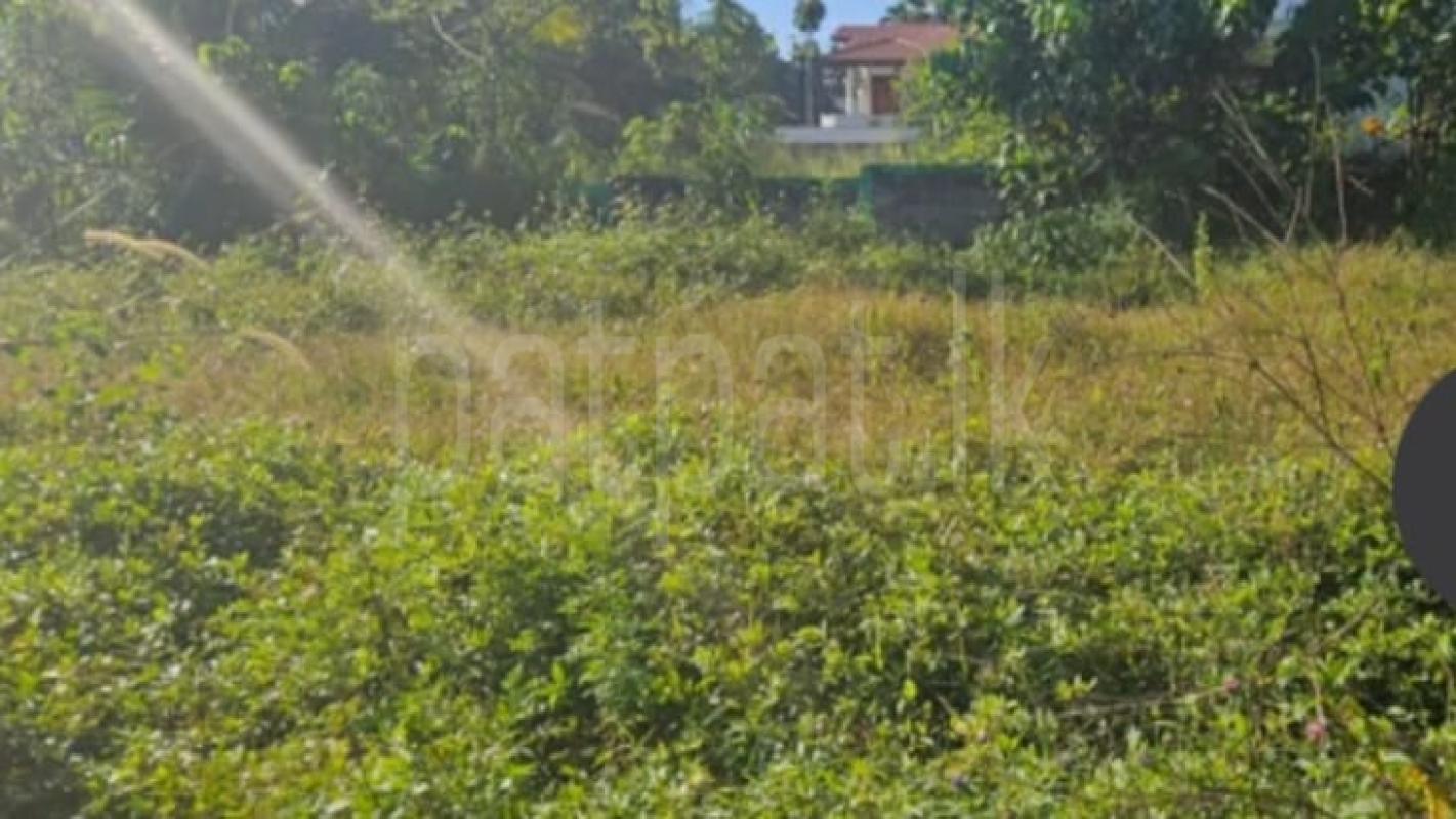 Residential Land for Sale in Homagama
