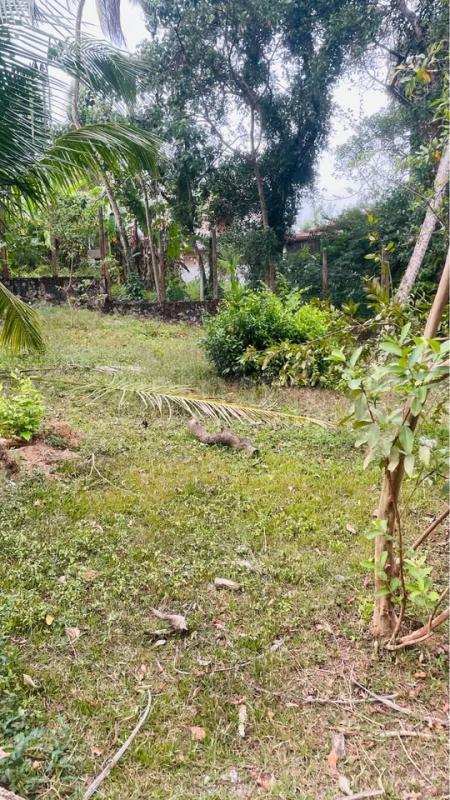Residential Land for Sale in Malabe