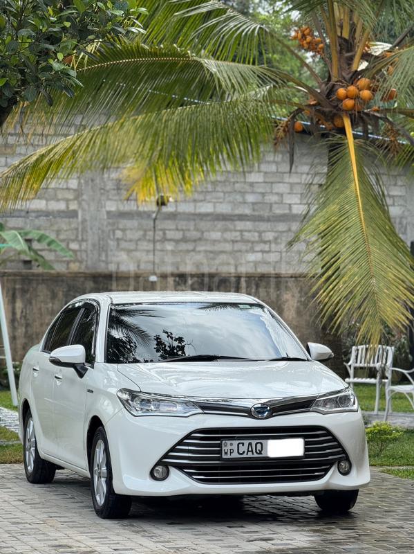 Advertisement image 1