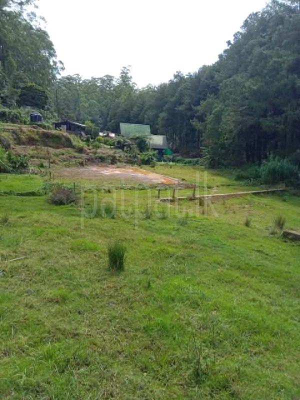 Commercial Land for Sale in Nuwara Eliya