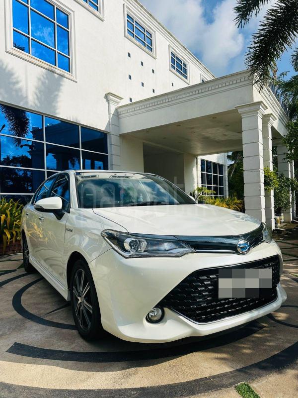 Advertisement image 3