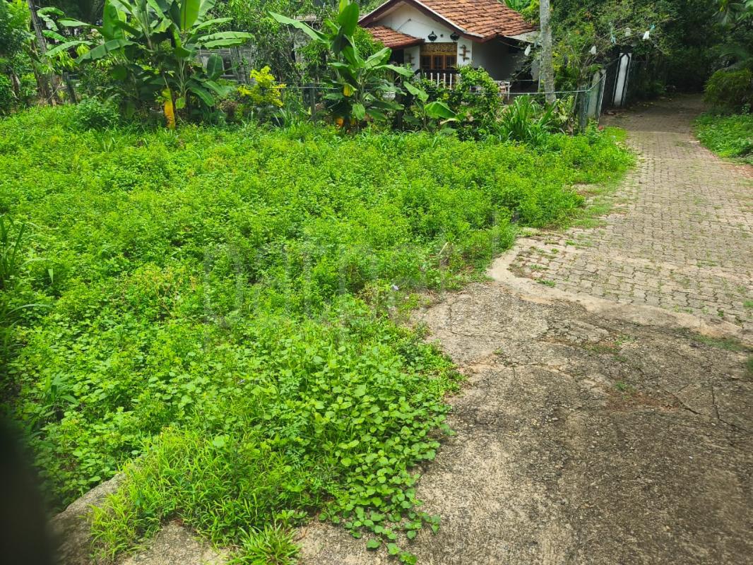 Residential Land for Sale in Kadawatha