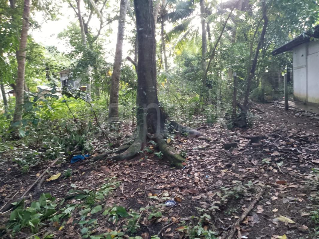 Residential Land for Sale in Panadura