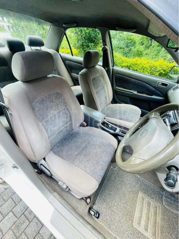 Advertisement image 5