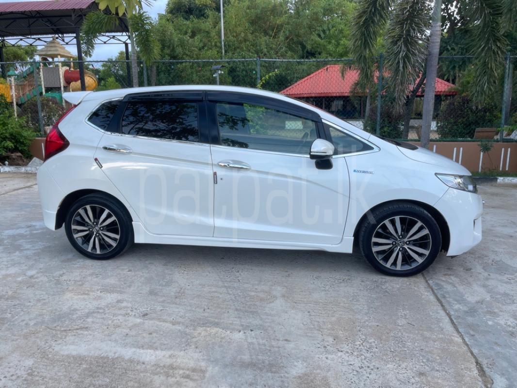 Advertisement image 3