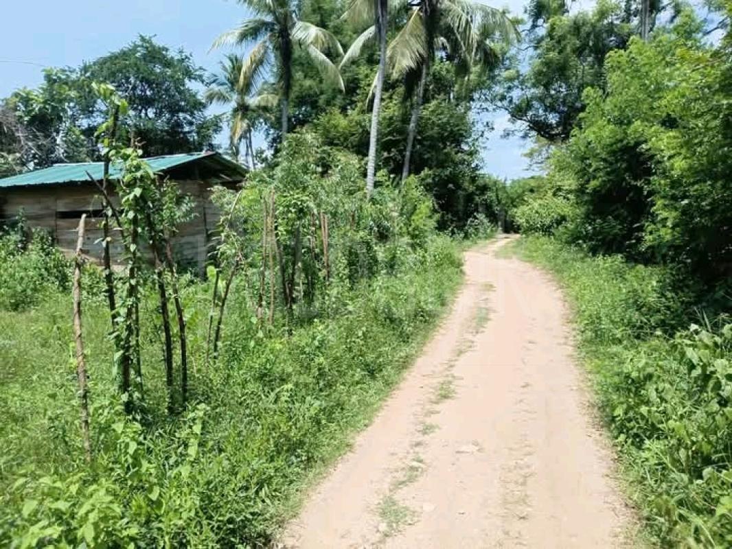 Commercial Land for Sale in Narammala