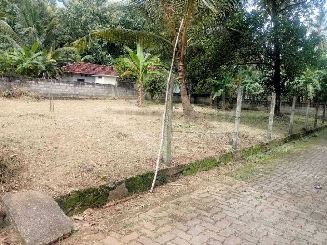 Residential Land for Sale in Kurunegala ads-image-1