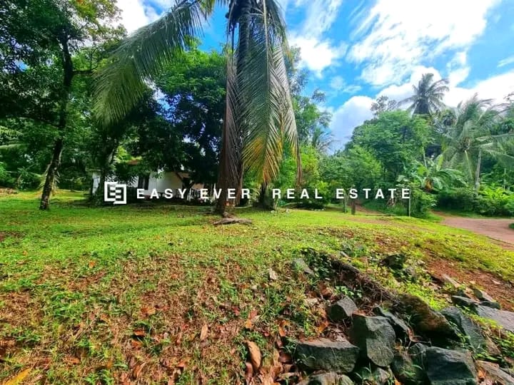 Commercial Land for Sale in Nittambuwa