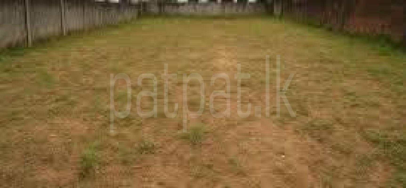 Agricultural Land for Sale in Wellawatta (Colombo 06)