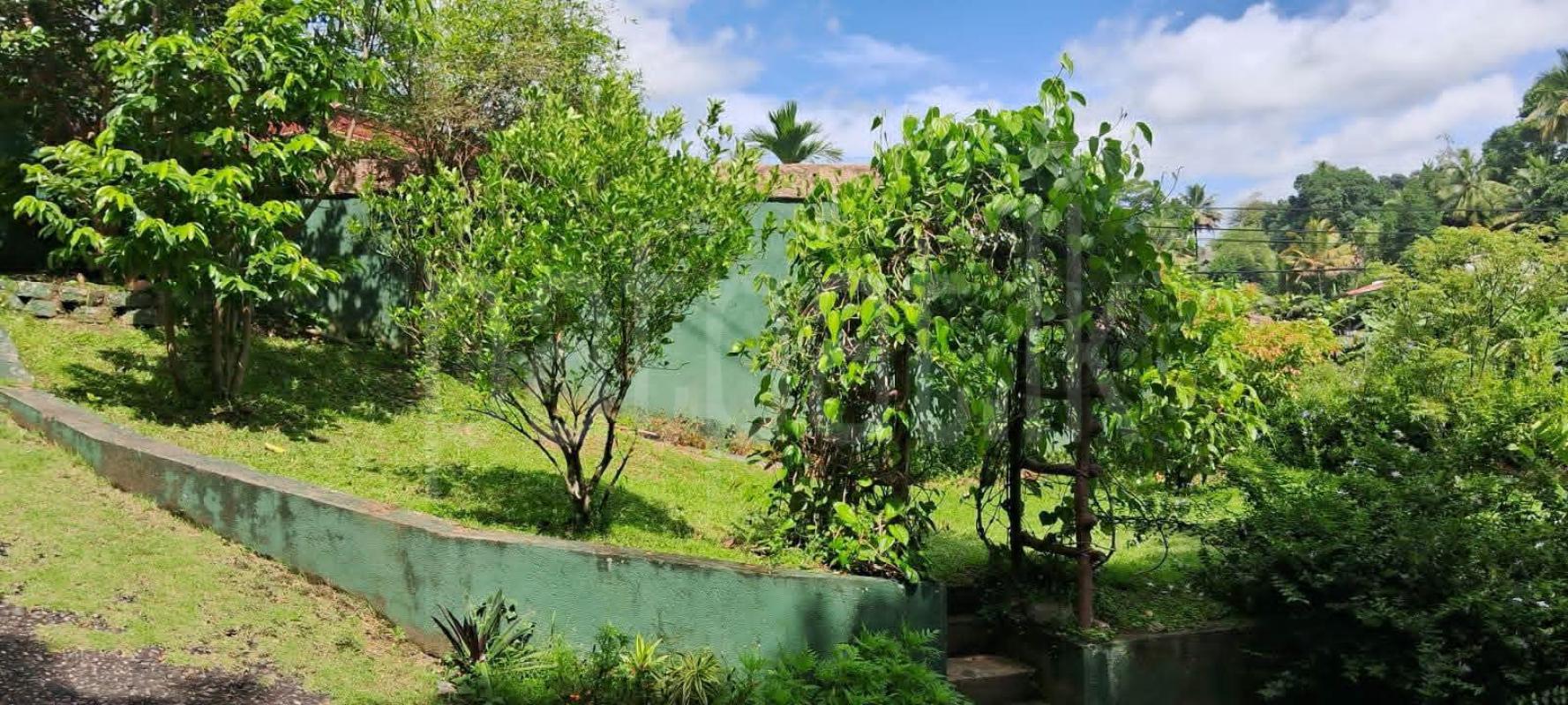 House for Sale in Kandy