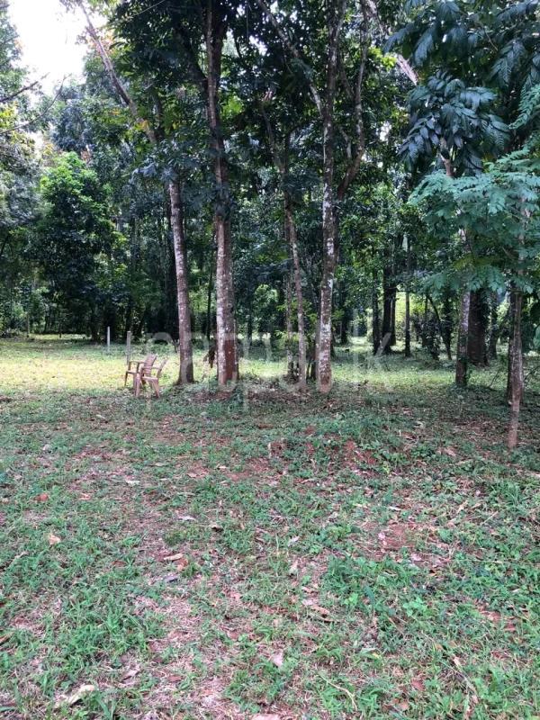 Residential Land for Sale in Dullewa