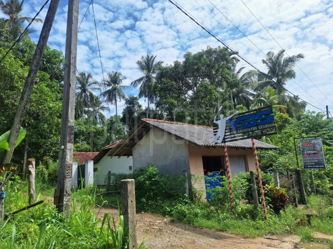 Advertisement image 5