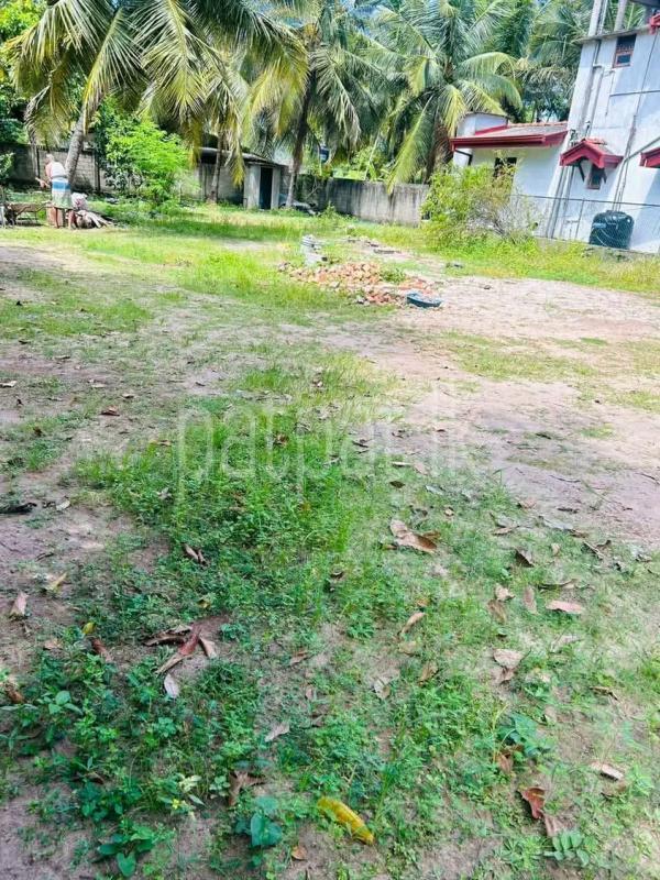 Agricultural Land for Sale in Maho