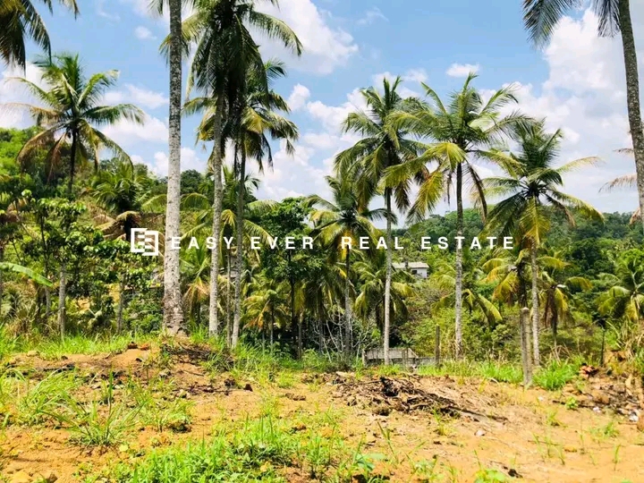 Commercial Land for Sale in Minuwangoda