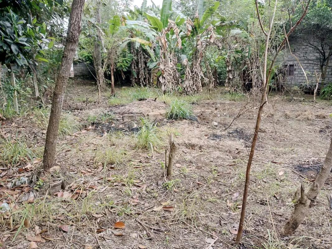 Agricultural Land for Sale in Gampola