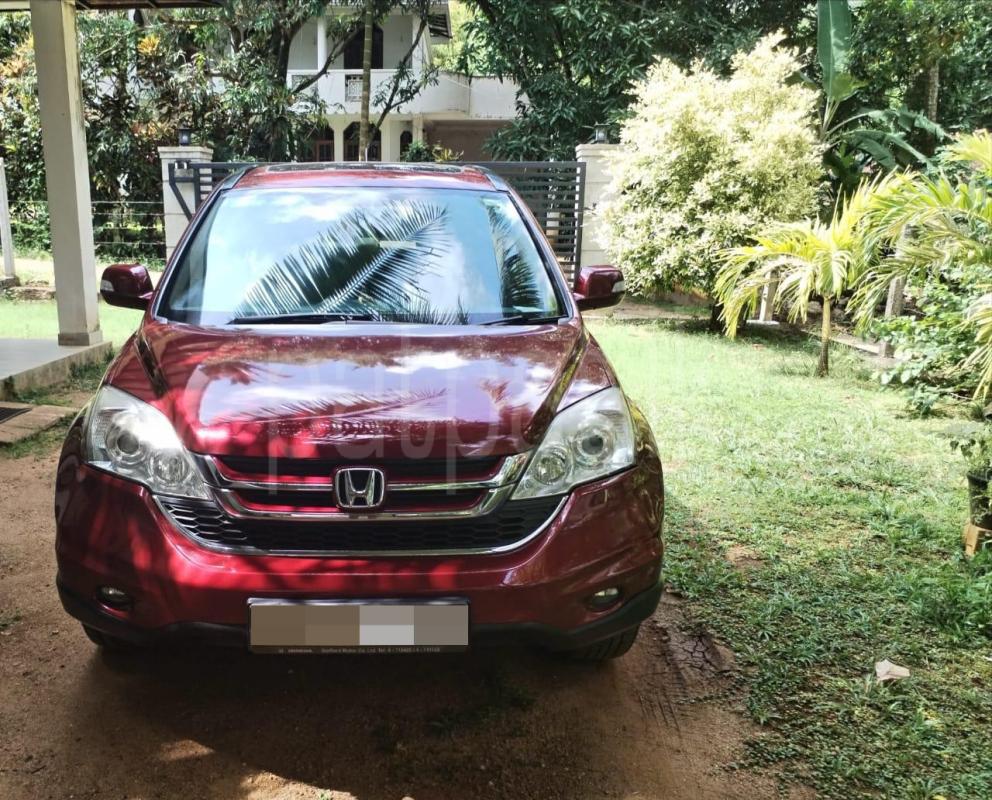 Advertisement image 1