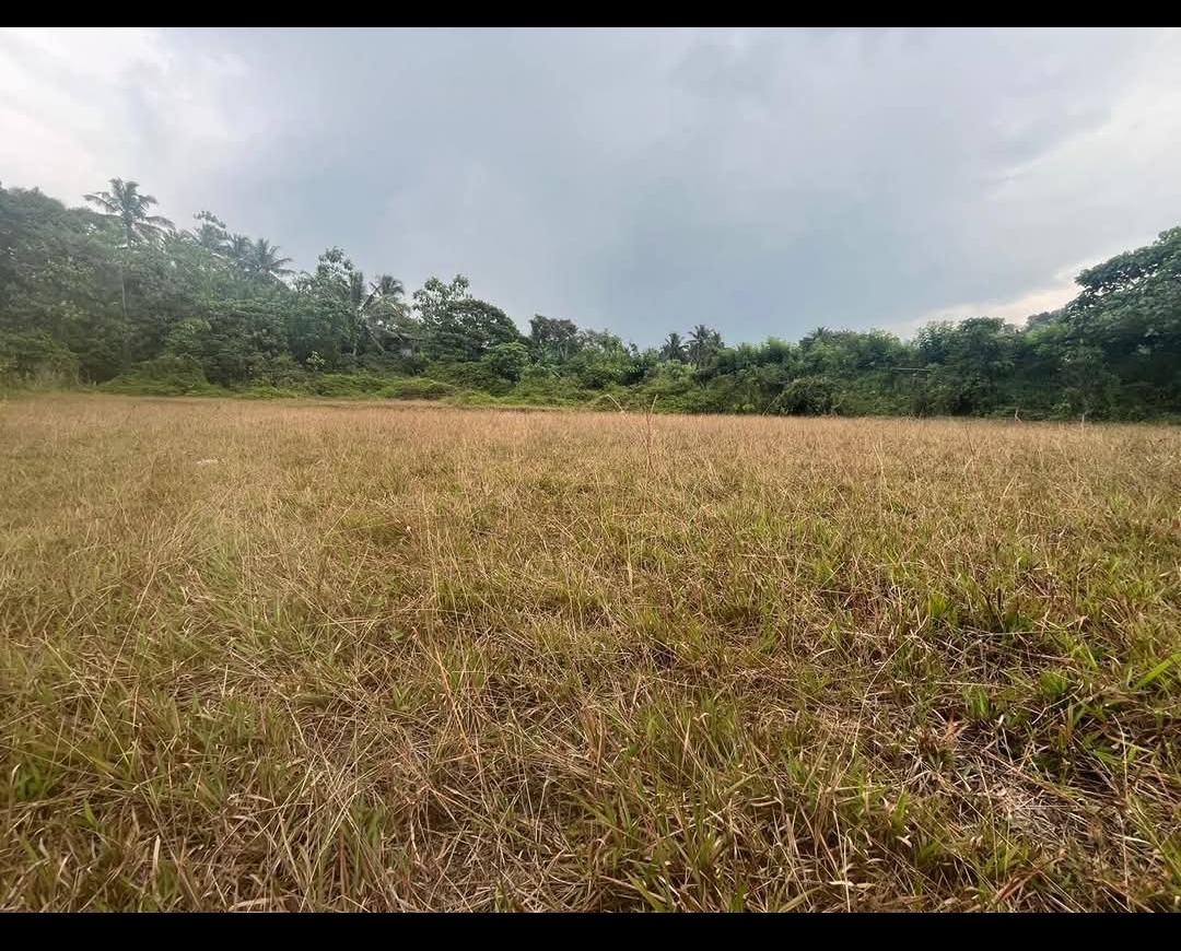 Residential Land for Sale in Hanwella