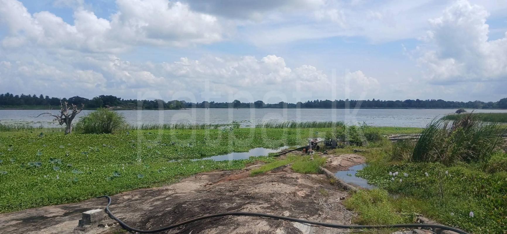 Agricultural Land for Sale in Kataragama