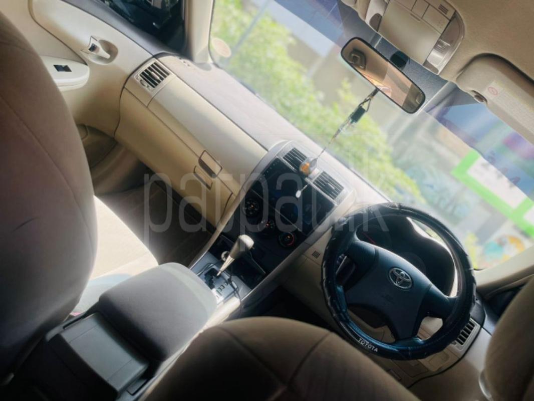 Advertisement image 4