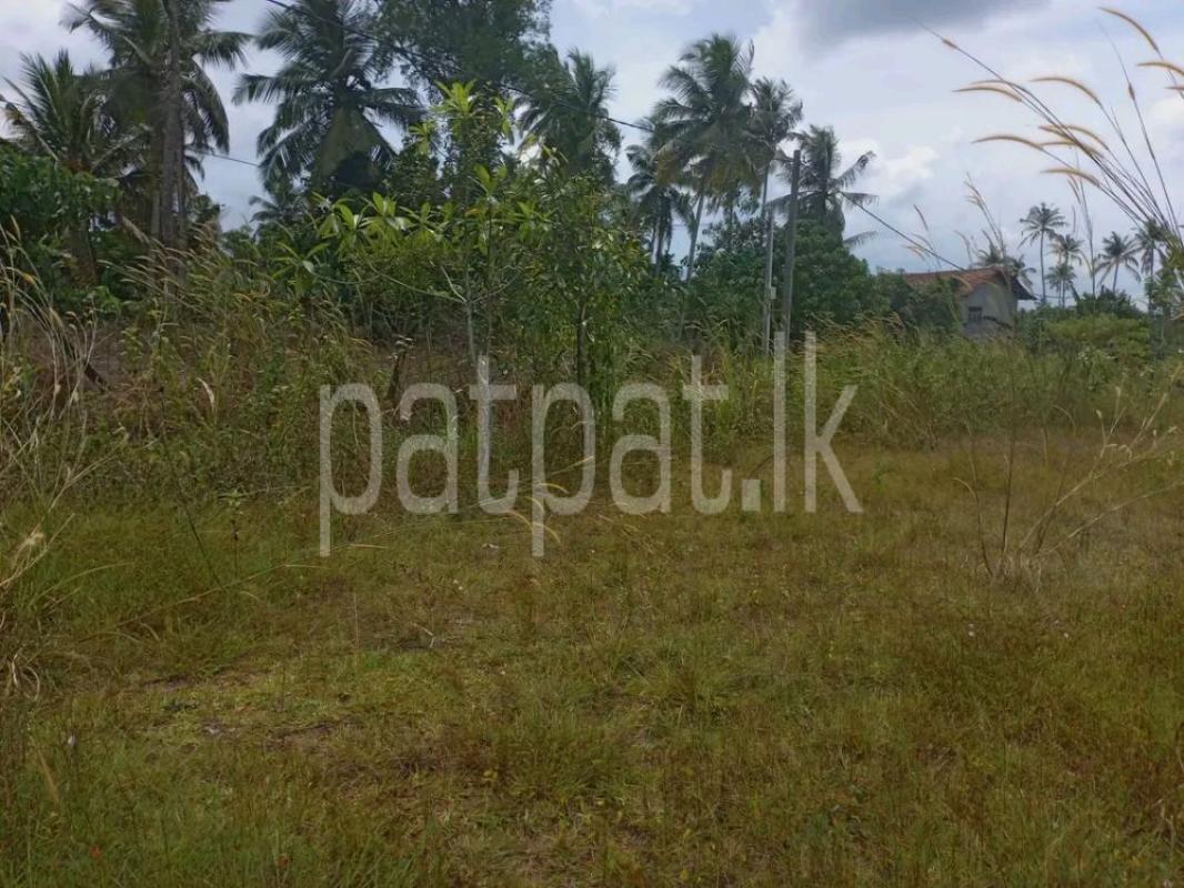 Advertisement image 6