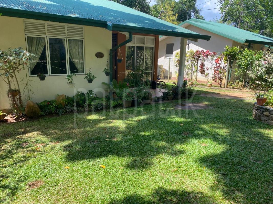House for Sale in Digana