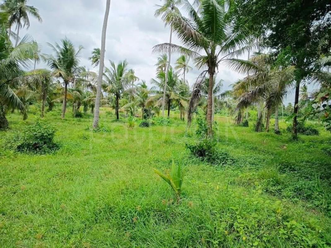 Agricultural Land for Sale in Kobeigane