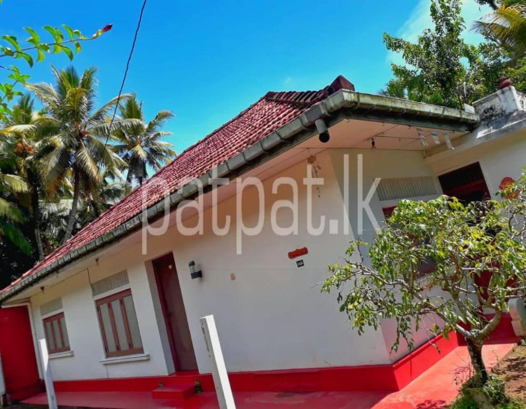 premium-listing-image