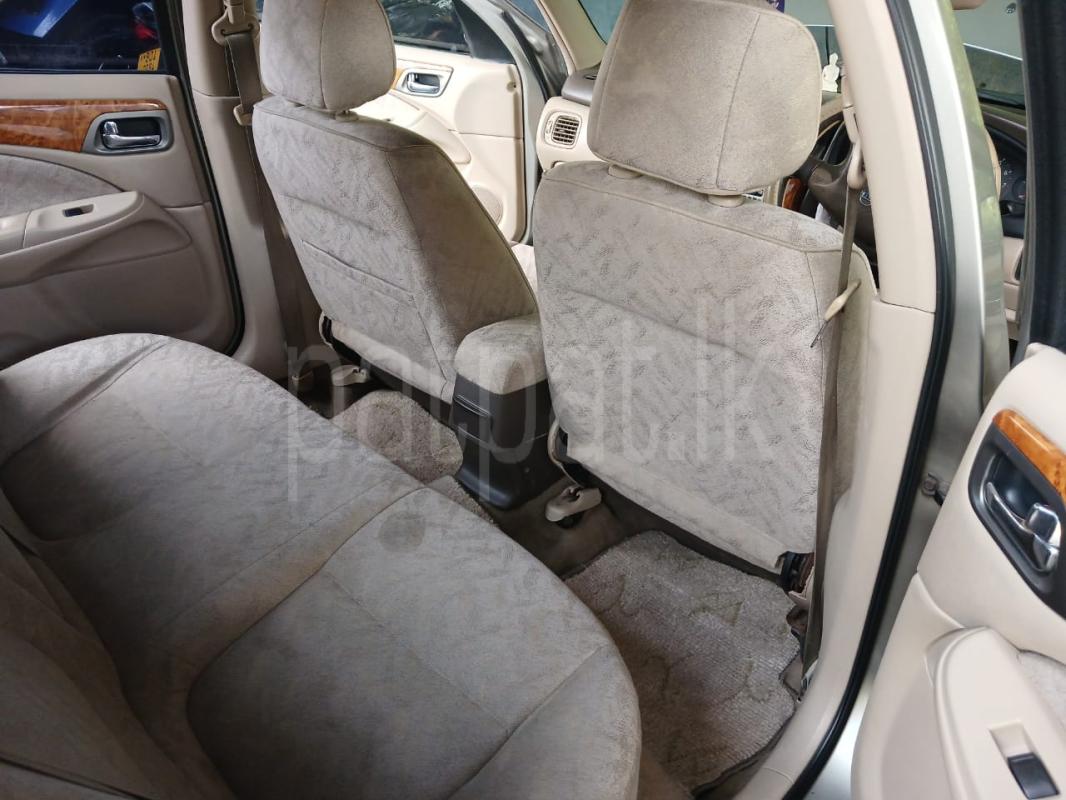 Advertisement image 3