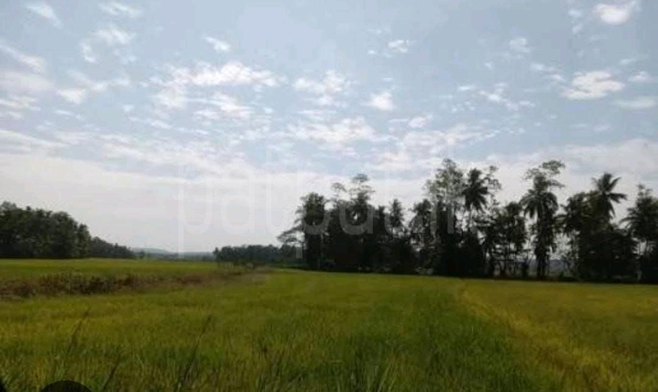 Residential Land for Sale in Kandy ads-image-1