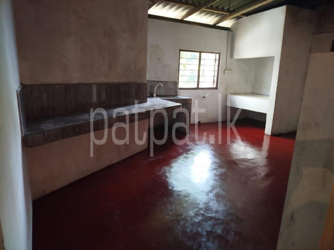 House for Rent in Pilimatalawa